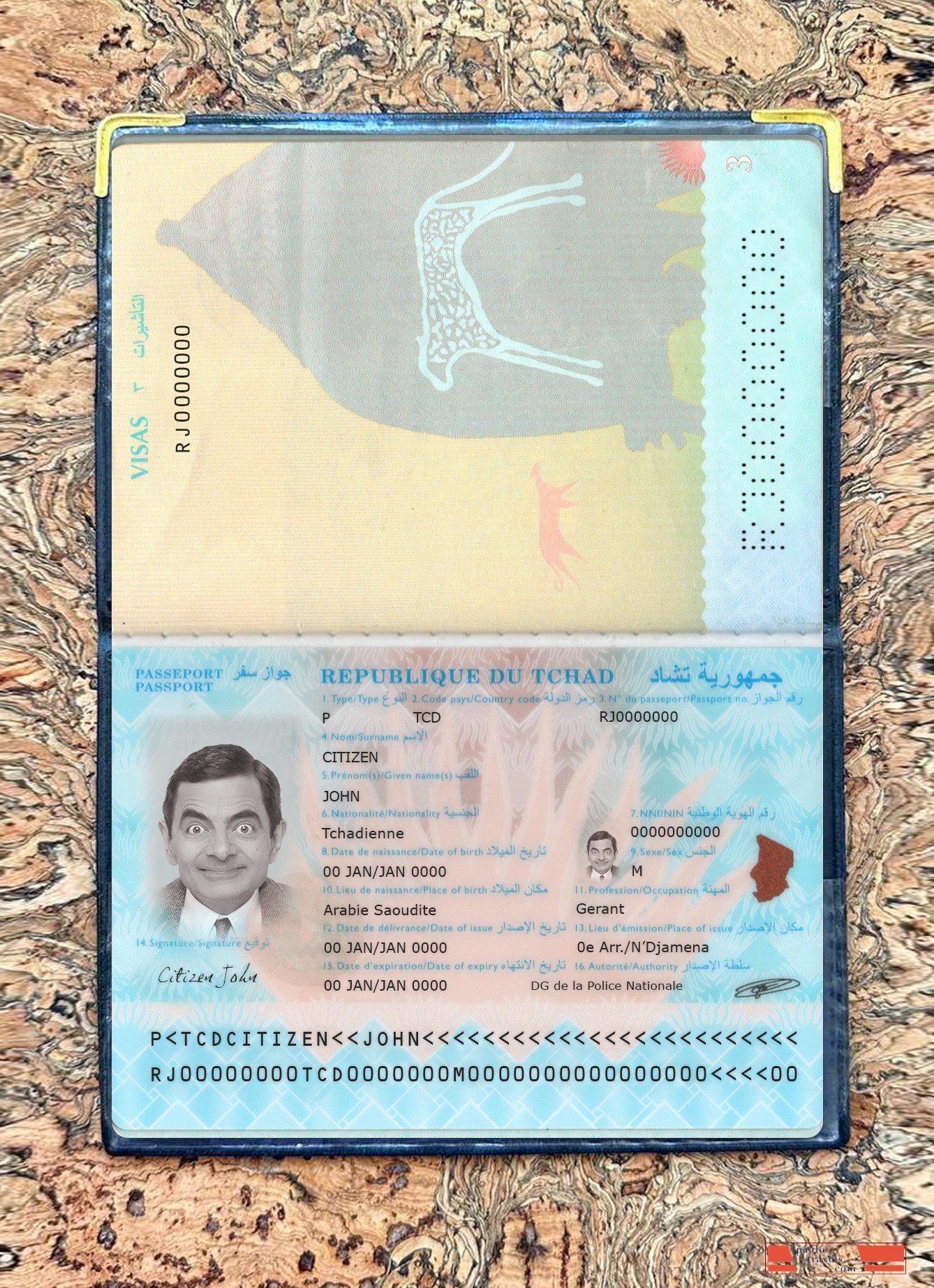 Du Tchad passport new 2021 present photolook PSD template